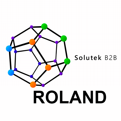 Mantenimiento preventivo de impresoras gran formato Roland