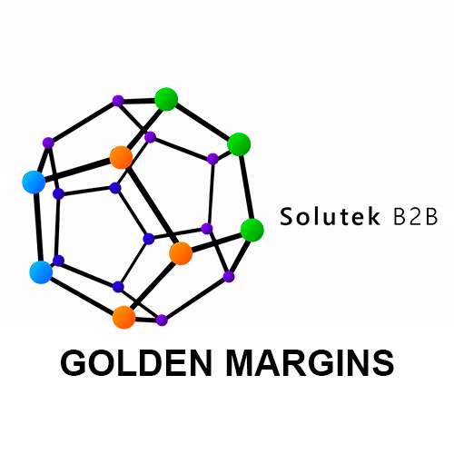 mantenimiento preventivo de monitores industriales Golden Margins